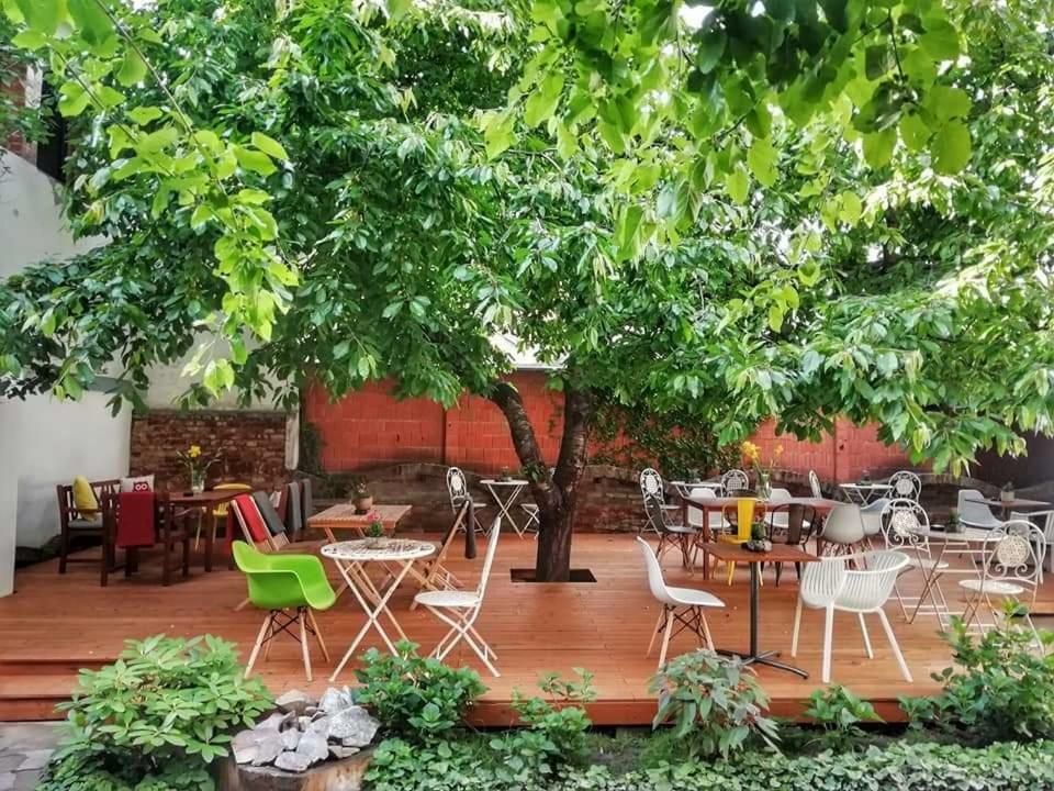 Casa Miron 1 Daire Temeşvar Dış mekan fotoğraf